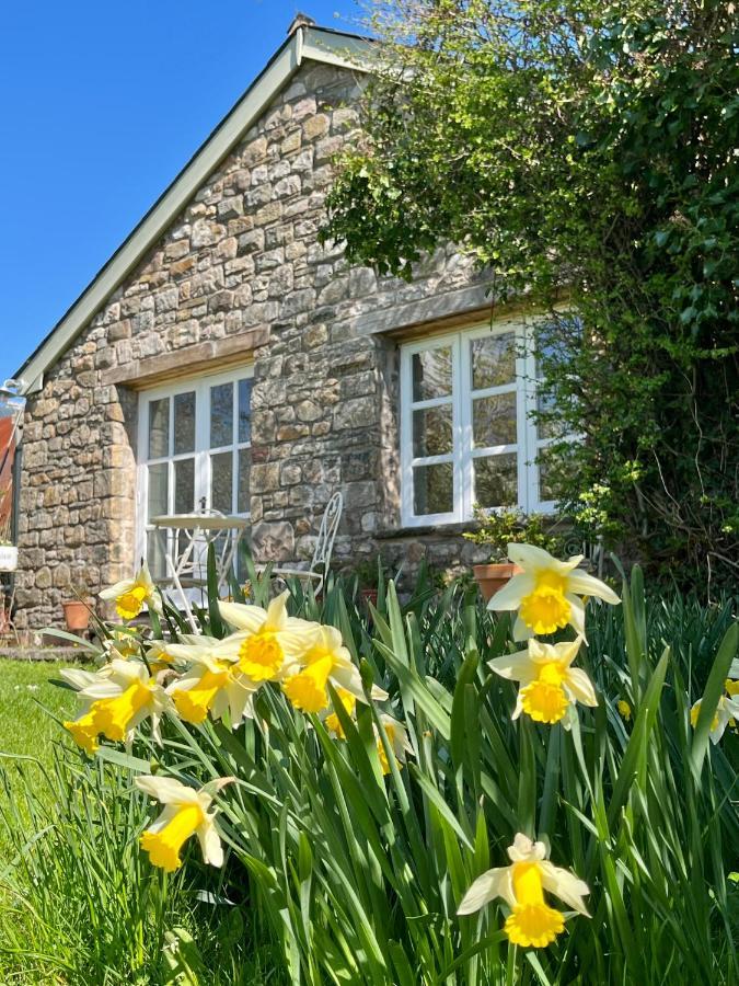 The Billiard Room - Cosy Country Retreat Abergavenny Exterior foto