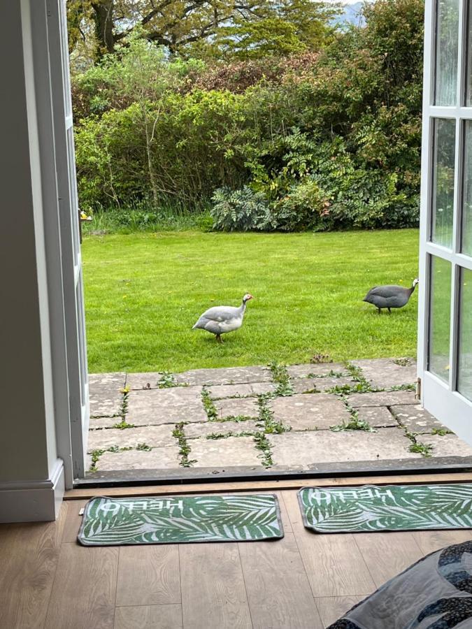 The Billiard Room - Cosy Country Retreat Abergavenny Exterior foto